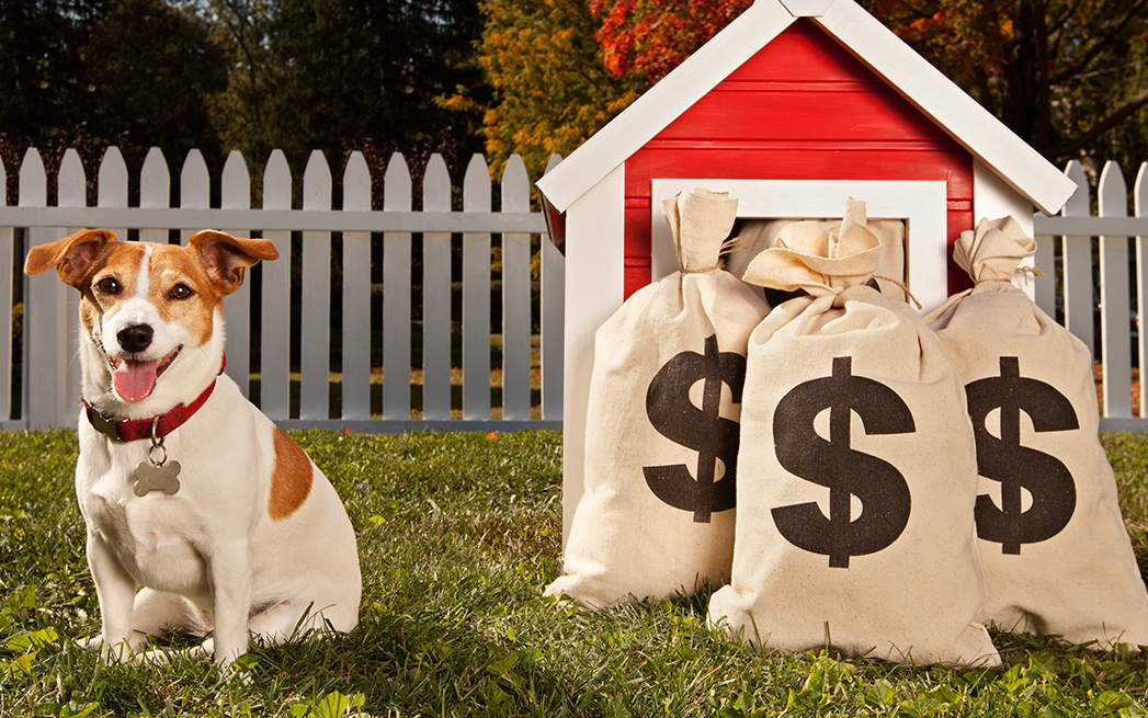 Can You Write Off Pet Expenses? Ultimate Guide for 2023 » 어제