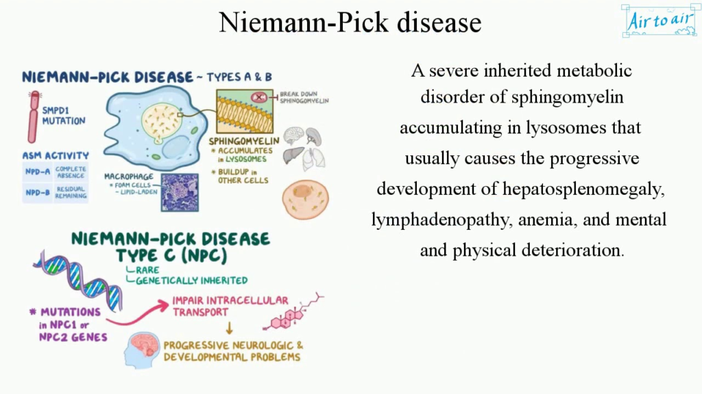 niemann-pick-disease-shedding-light-on-the-rare-genetic-disorder